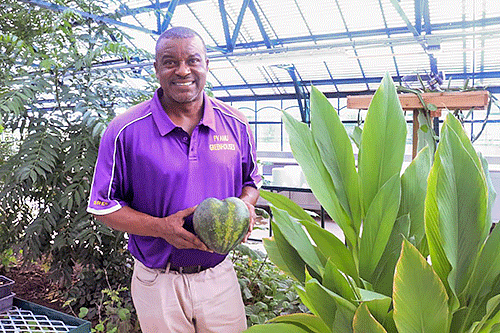 College of Agriculture Research Center's Rafash Brew holds a Mini Love watermelon.