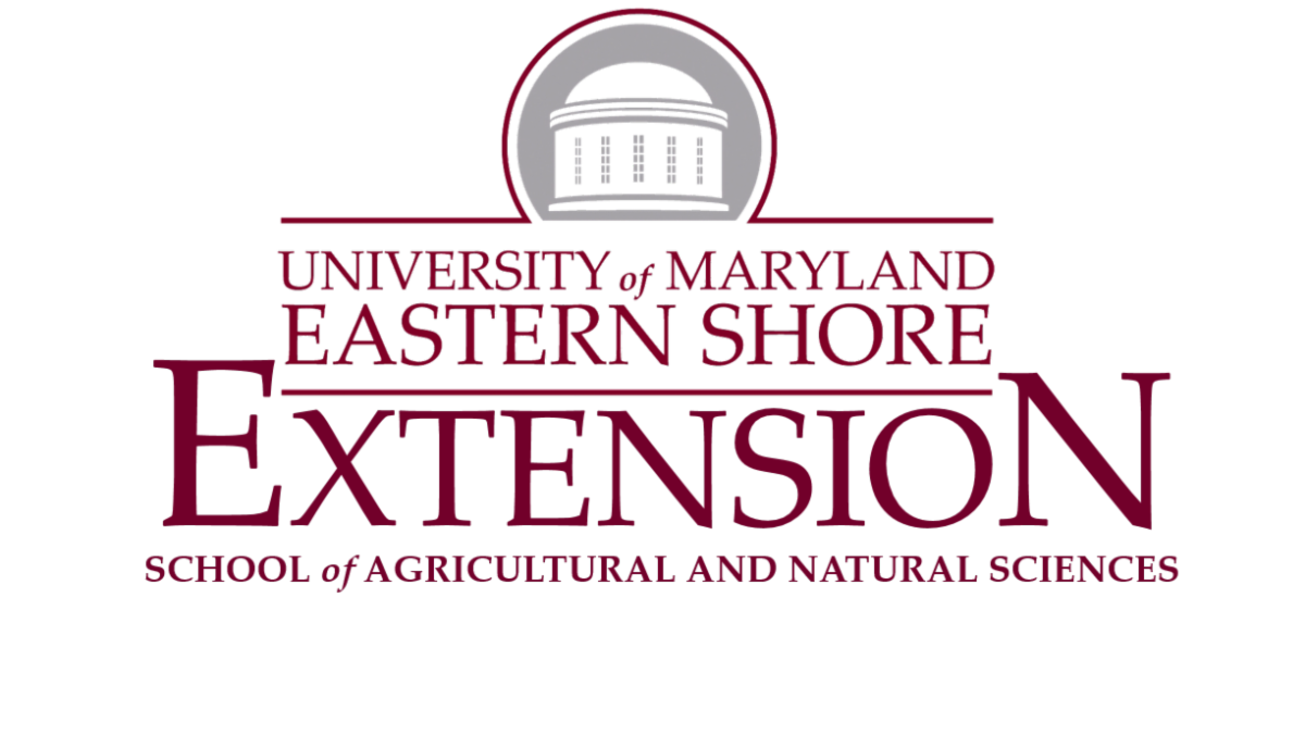 Logo_2.png