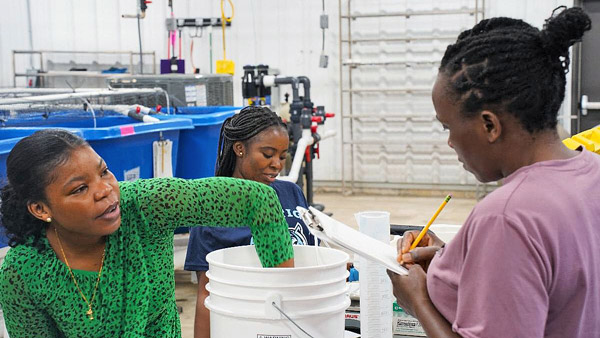 Three young women take measurements of rainbow trout on a table.