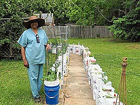 Person participates in container gardening project.