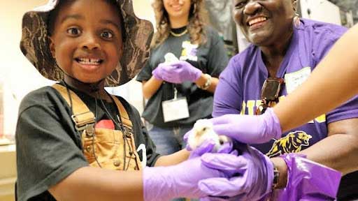 Child holds a chick.