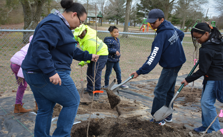 UMES family and consumer sciences community mini orchard.