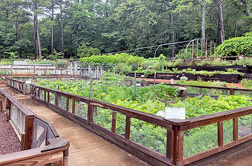 Photo by Tyler Maso. Bruno Vegetable Garden at Birmingham Botanical Gardens.