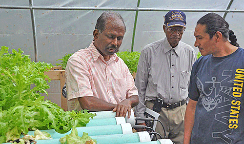Associate professor Dr. Dharma Pitchay speaks with farmers about hydroponic systems.