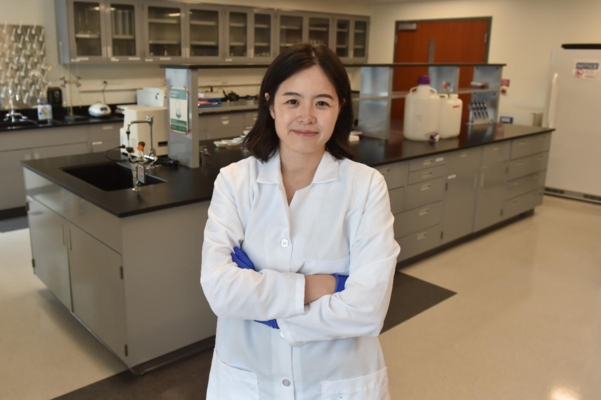 Dr. Yangjin Jung in a laboratory.