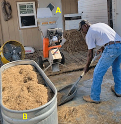 Participant shovels wheat straw.