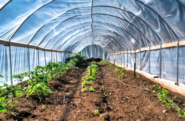 High tunnel