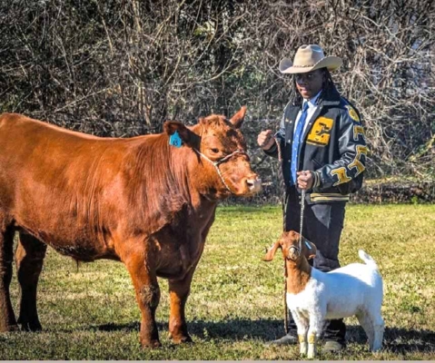 Joshua Williams with cow and goat.