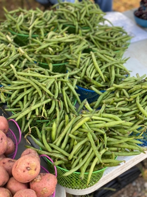 Vegetables.jpg