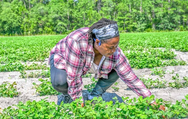 Veteran Meleade Wasson in the field.