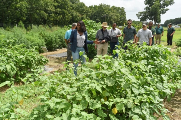 Dr. Nadine Burton with members of the Around the Bay Farmer’s Alliance.