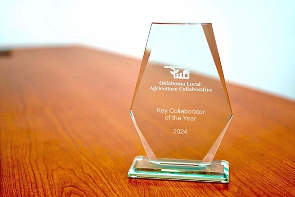 Crystal award sitting on a table.