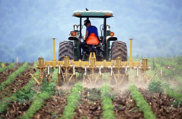 tractor spraying row crops