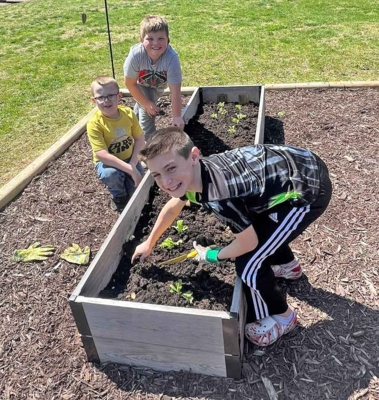 Students work in garden bed.