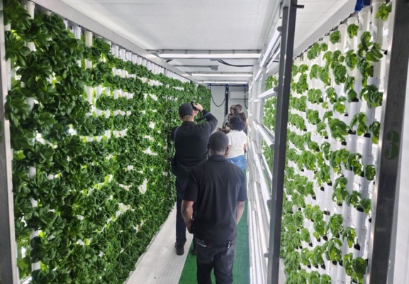 Individuals visit Vertical Farm.
