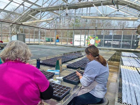 Master Gardeners plant seeds in the DSU greenhouse.