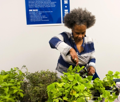 Dr. Arvazena Clardy works with plants.