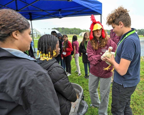 Youths learn how to handle chickens.