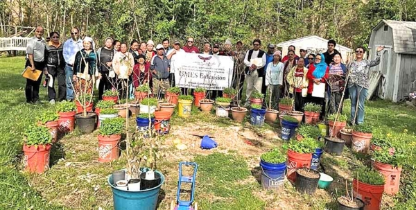 Farmers participate in urban garden project.
