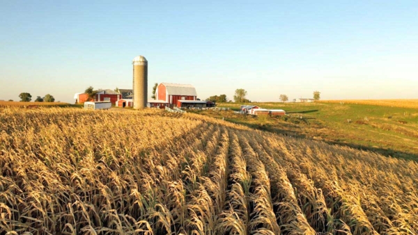 Farmland