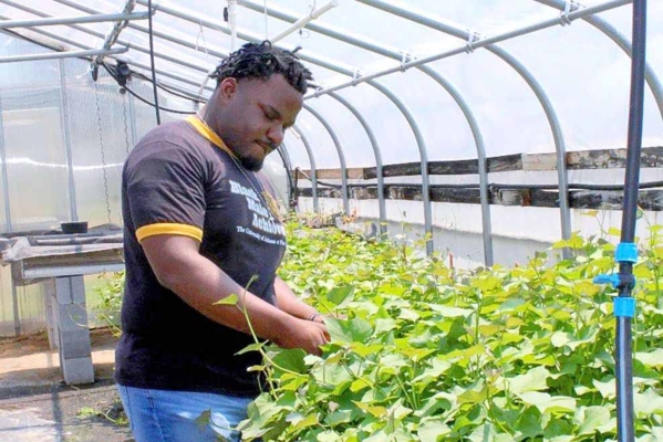 Cortez Henderson in a greenhouse.