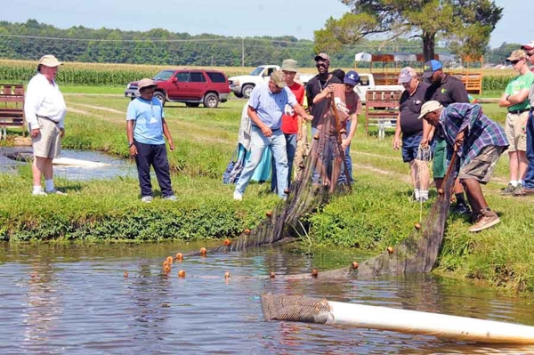 Workshop participants at one of the 57 research and instruction ponds at the Virginia State University Randolph farm.