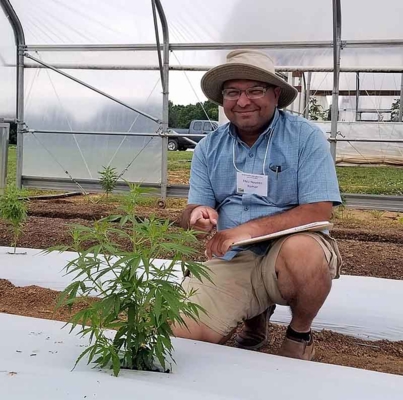 Dr. Naveen Kumar Dixit is researching varieties of industrial hemp for salt tolerance.