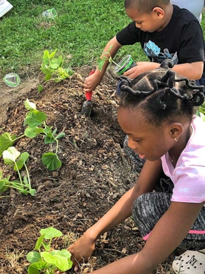 Youth planting crops.