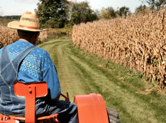 Farmer on tractor in a field.