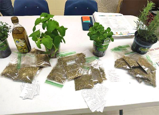 Seeds and plants on a table.
