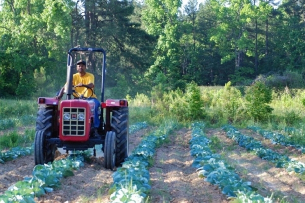 Man on tractor in the field.