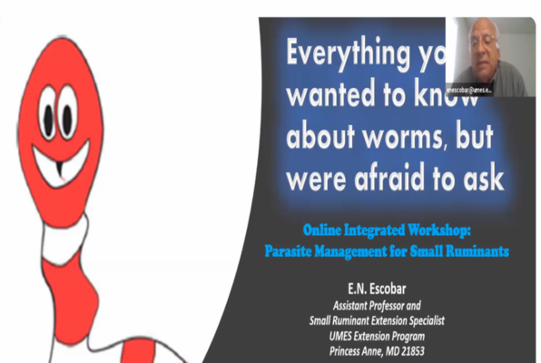 Parasite Management for Small Ruminants webinar.
