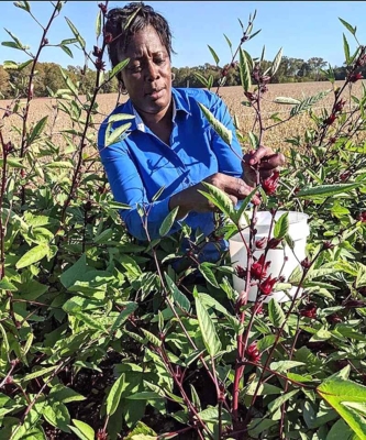 Dr. Nadine Burton gardening.