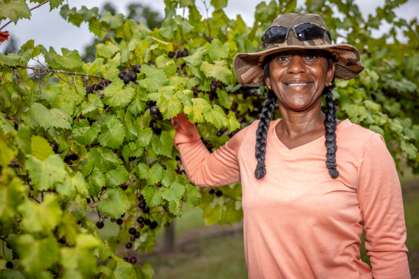 Dr. Darlene Williams in her vineyard.