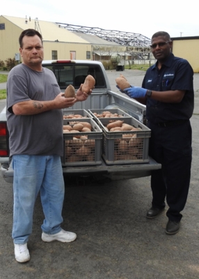two men holding sweet potatoes