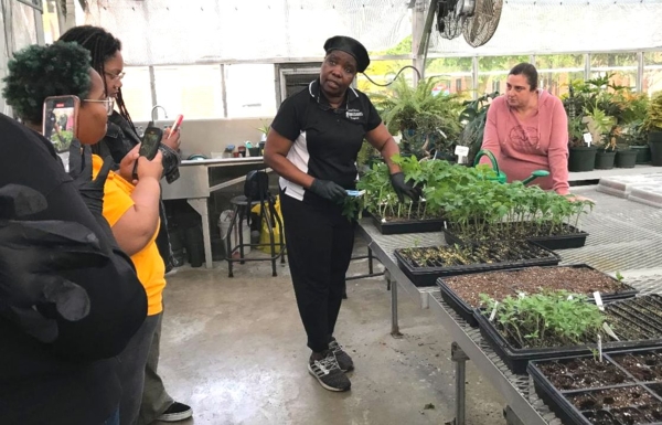 Dr. Rose Ogutu educating a group about tomato grafting.