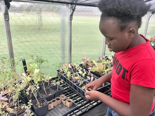 Student toils in the garden.