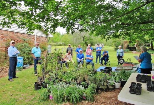 Group participates in plant propagation and plant sale management instruction.