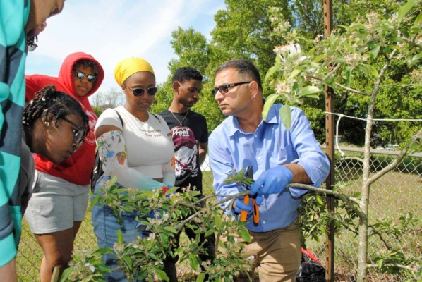 Dr. Naveen Kumar Dixit teaching students pruning at community orchard.