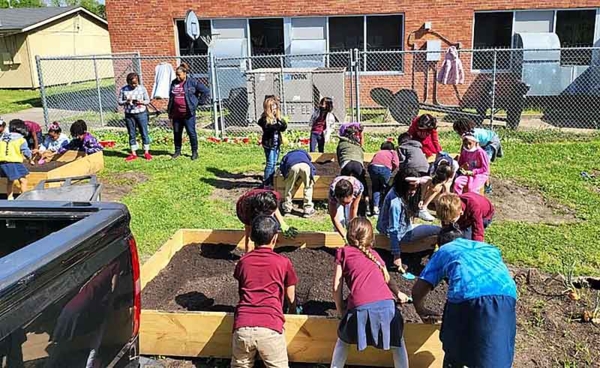 Youths work in garden beds.