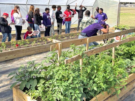 Students gather inside a greenhouse to learn about vegetable gardening.