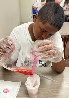 A student learns how to extract strawberries.