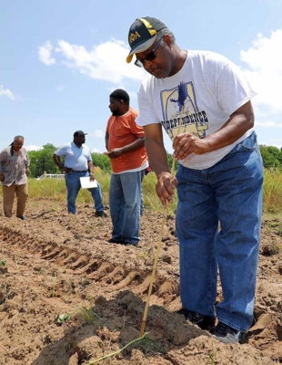 Roderick Greene in the field.