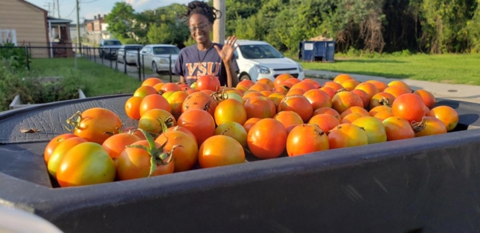 Harding Street Urban Ag Center harvest