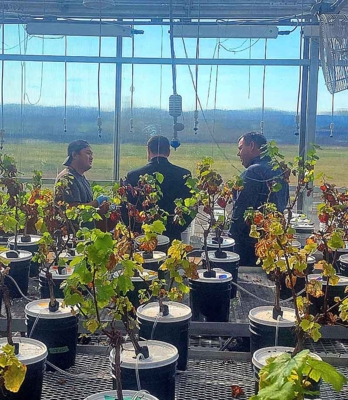 Individuals in greenhouse.