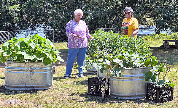 Older adults with raised beds.