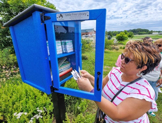 Armeniqua Goodwin Wallace examines seed packets at the little seed library.