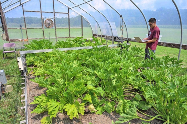 Student using FarmBot.