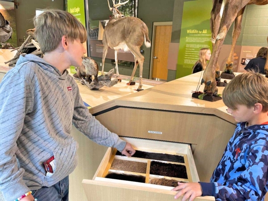 Students explore wildlife artifacts.