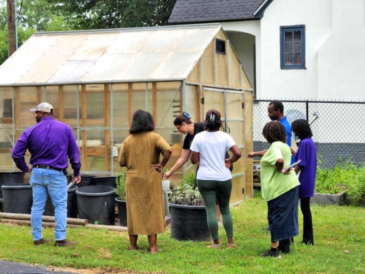 Group of people in garden.